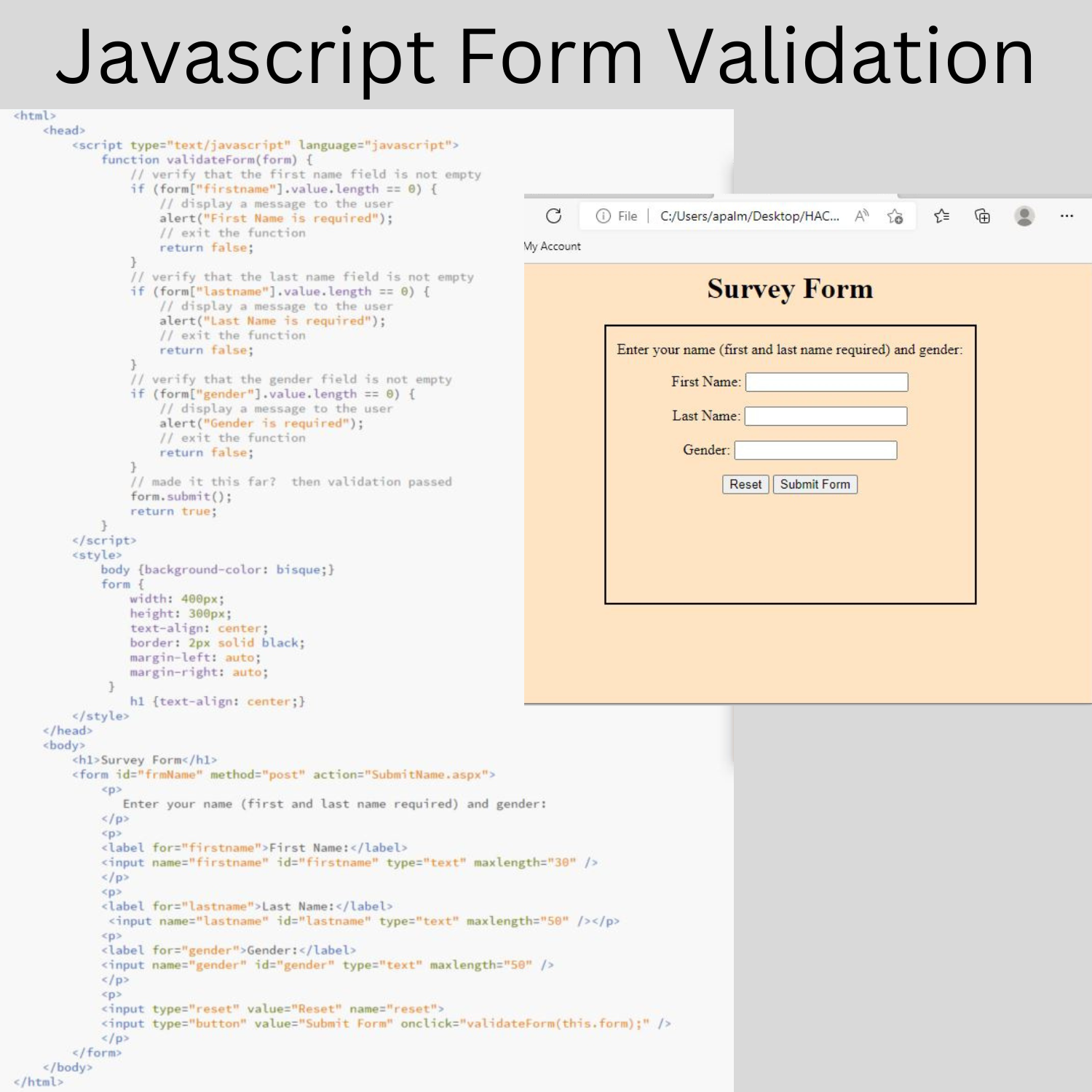 JS form validation app